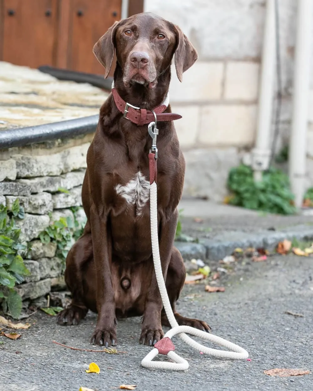 Brown Rope and Suede Leather Dog Lead