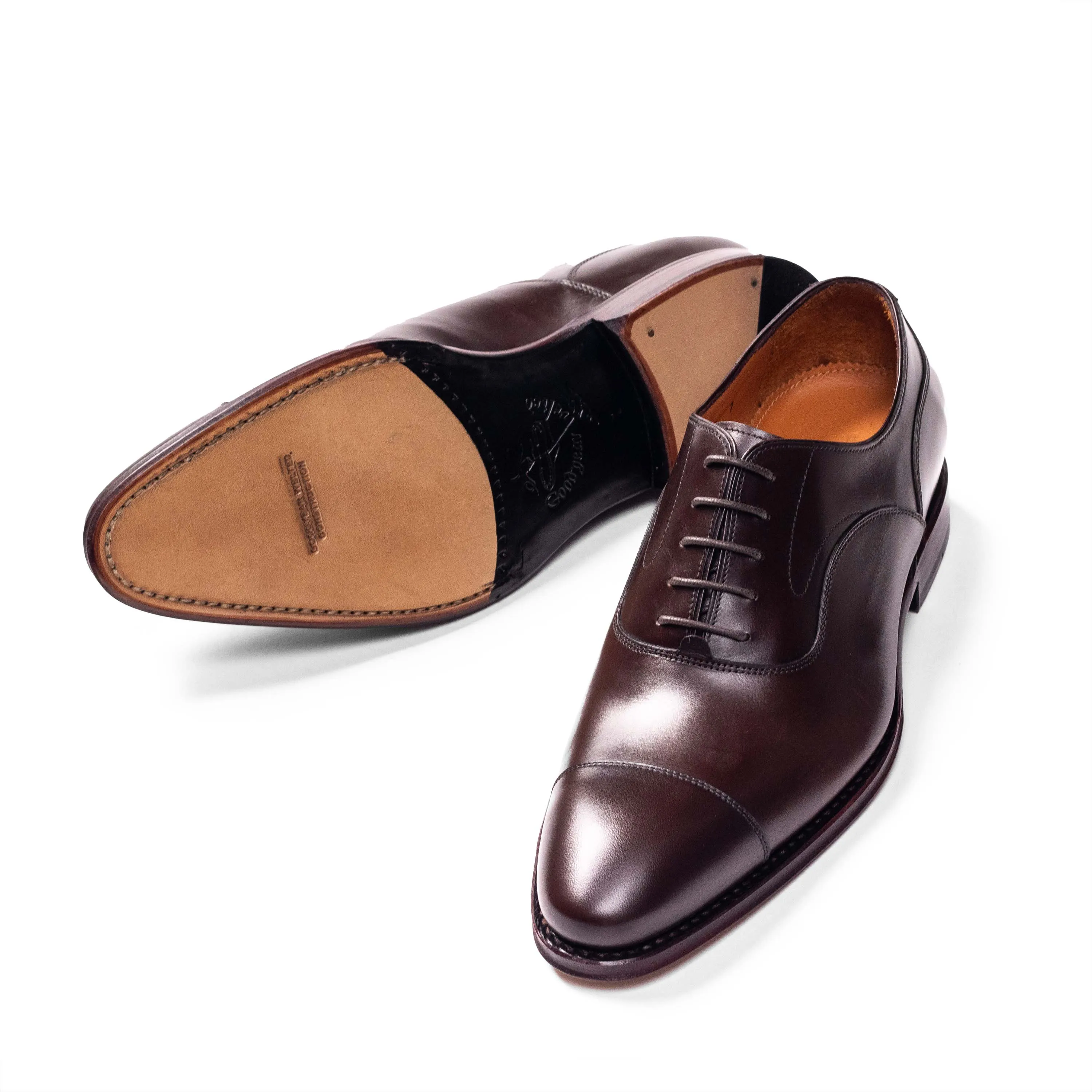 Classic Dark Brown Oxford