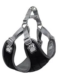 Pretty Paw Berlin Steel Harness